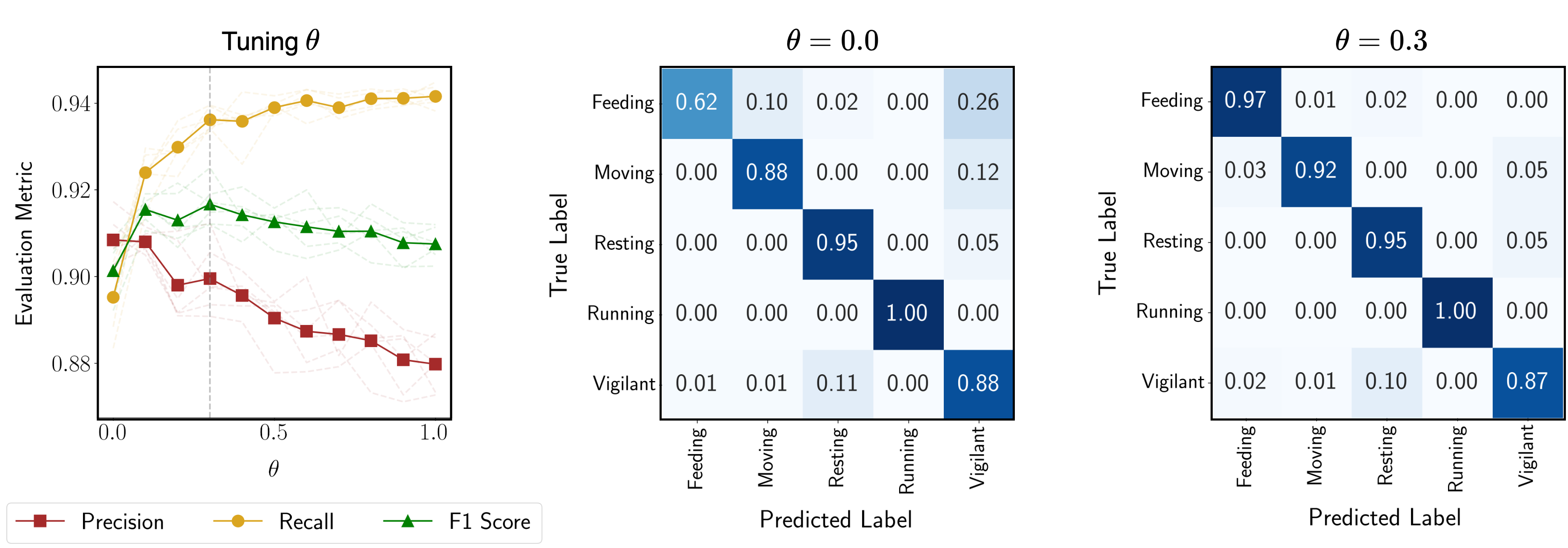Second Image Description
